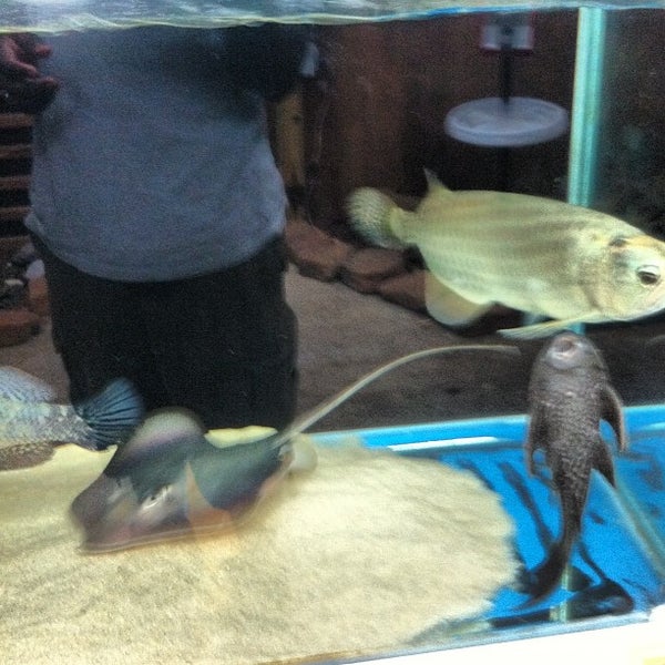 fish and pets unlimited