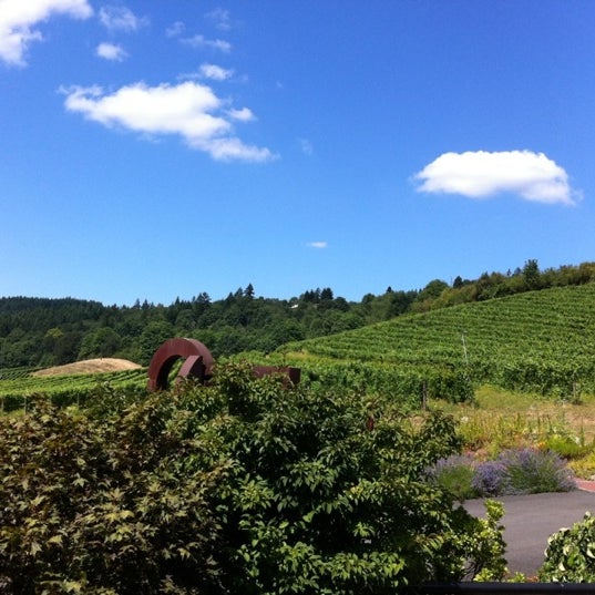 7/28/2012에 Ellen G.님이 REX HILL Vineyards &amp; Winery에서 찍은 사진