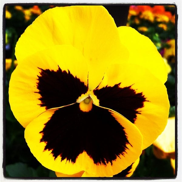 Photos at Lowe's Southeast Nashua Nashua, NH