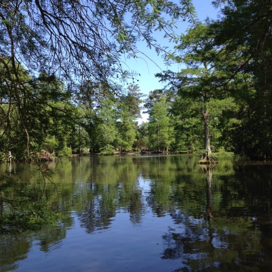 Photos at Swan Lake Iris Gardens 19 tips