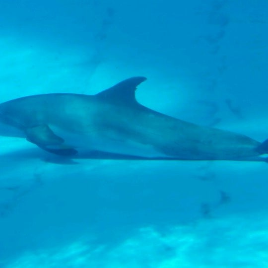 Foto tirada no(a) Texas State Aquarium por Joe R. em 7/2/2012