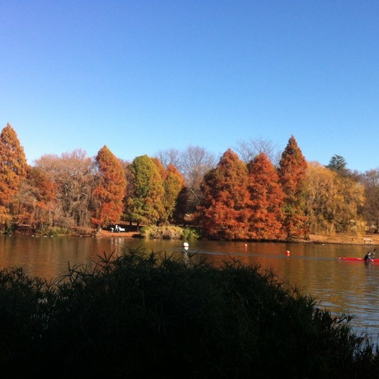 Johannesburg Botanical Gardens Randburg, IGauteng