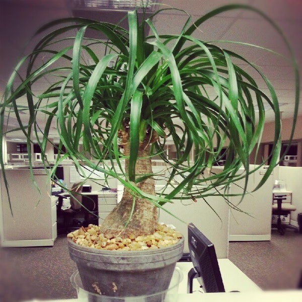 Flagstar Bank Corporate Headquarters Annex Troy, MI