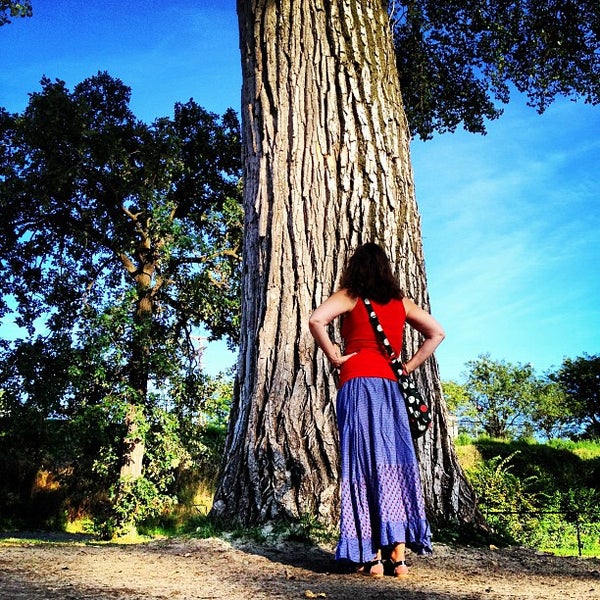 Riverside park Cannon Falls, MN