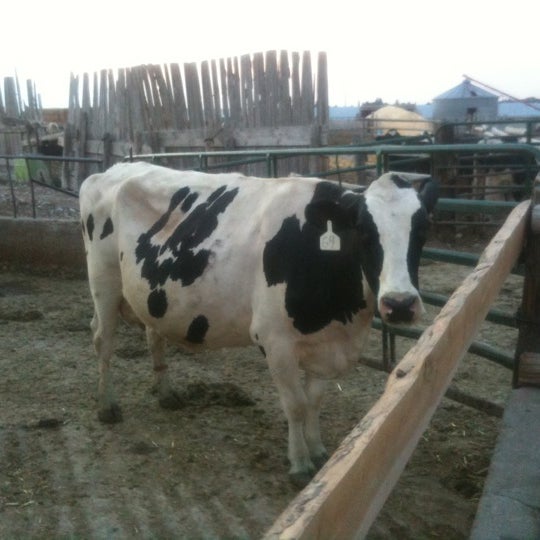 Photos at Reed's Dairy Inc. 2660 W Broadway St