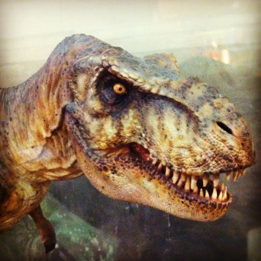 Photo taken at Museum of Nature &amp; Science by Brian D. on 6/17/2012
