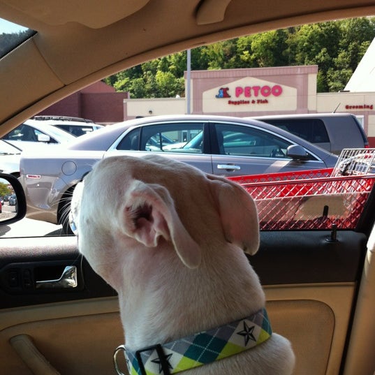 petco mcknight road grooming