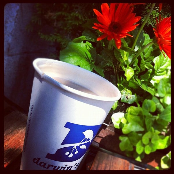 Darwin's Ltd. Harvard Square 96 tips from 2264 visitors