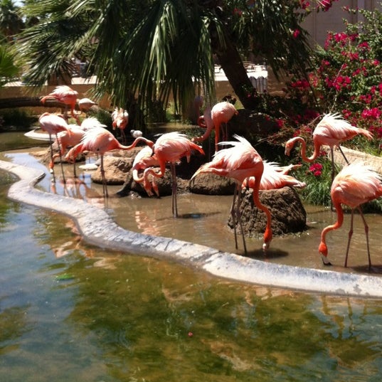 Dillon's KC BBQ Wildlife World Zoo Wildlife World Zoo 38 tips