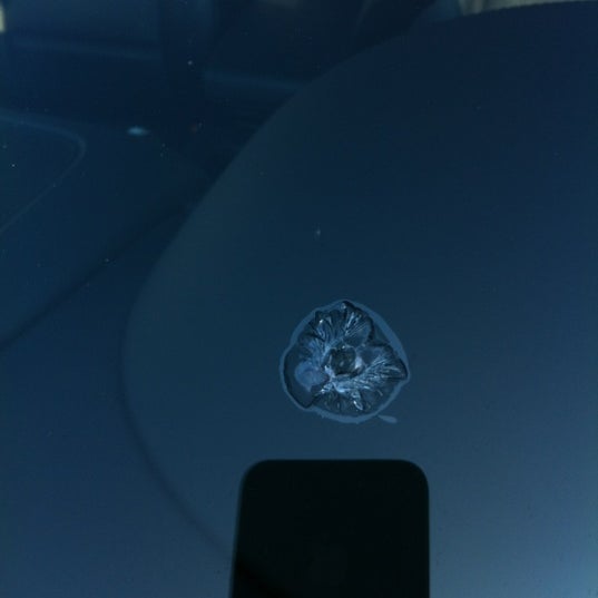 Carglass GmbH Hamburg (Wandsbek) Tonndorf 0 tips