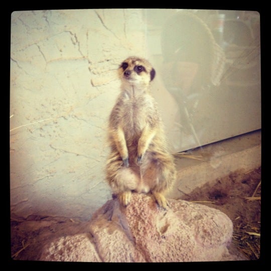Photo taken at El Paso Zoo by Sarah S. on 7/27/2012