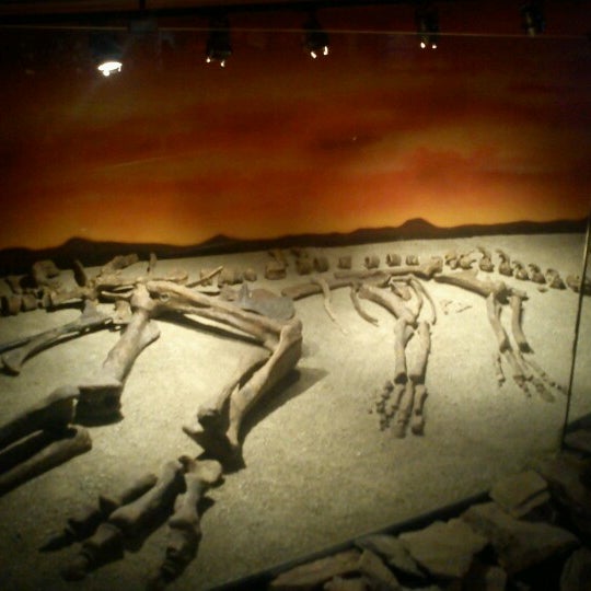 Photo taken at Museo del Desierto by Eduardo M. on 8/19/2012