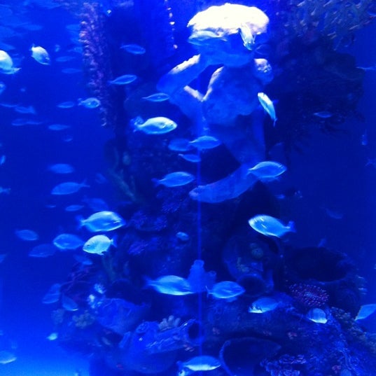8/21/2012에 Eray U.님이 Antalya Aquarium에서 찍은 사진