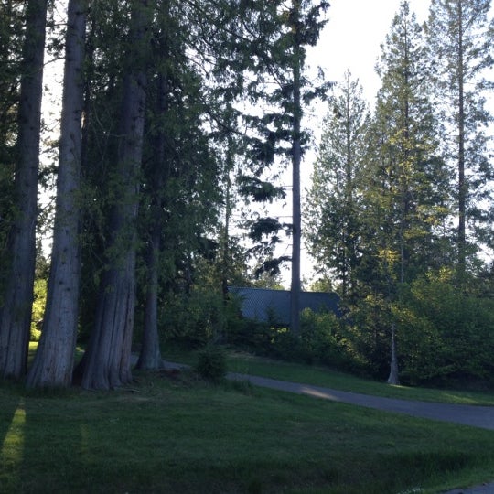 My Image 19