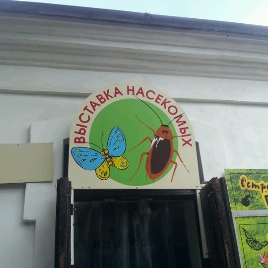 Зоологический музей насекомые. Название выставки про насекомых. Выставка насекомых. Выставка насекомых. Выставка насекомых в москве 2022.