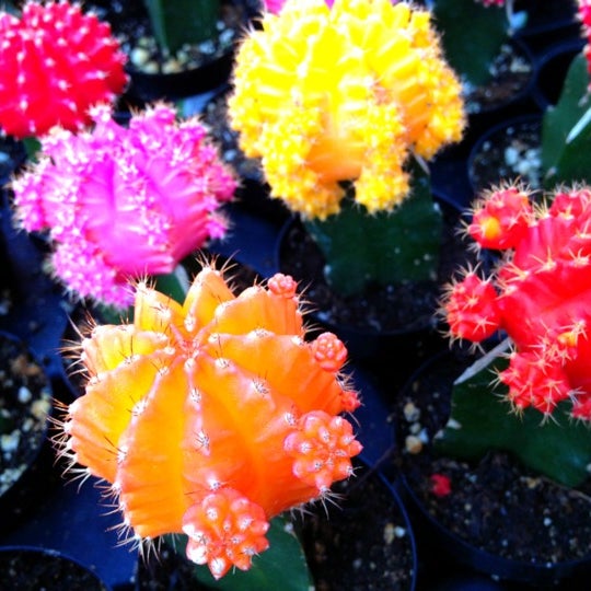 The Home Depot Woodbury 4 tavsiye