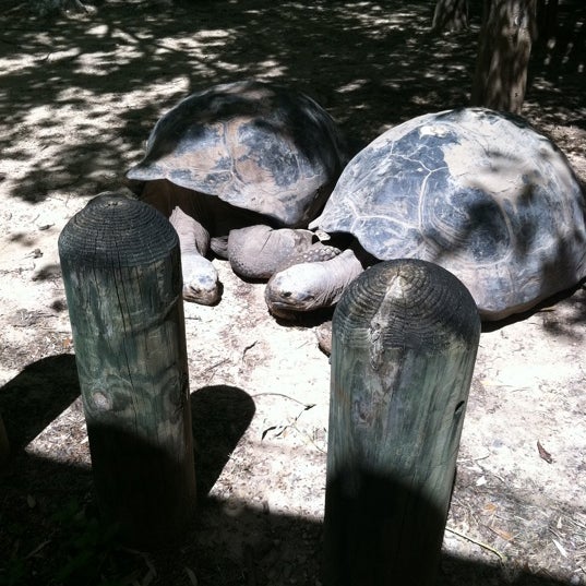 Photo taken at Cameron Park Zoo by Rosa S. on 3/24/2012