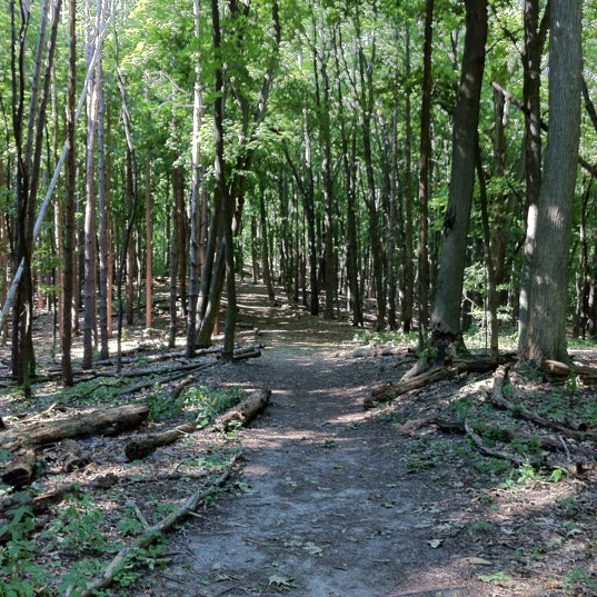 Bird Hills Park West Ann Arbor 6 tips from 245 visitors