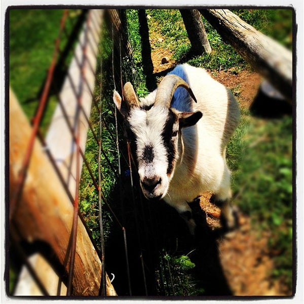 Photo taken at Indian Ladder Farms by Graham T. on 9/2/2012