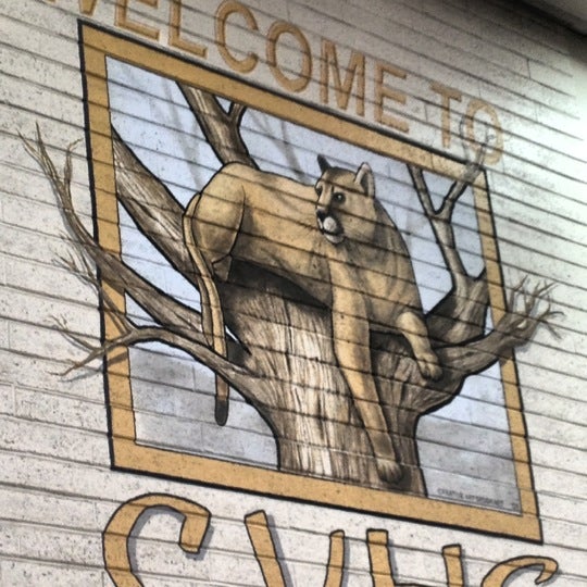 Capistrano Valley High School High School