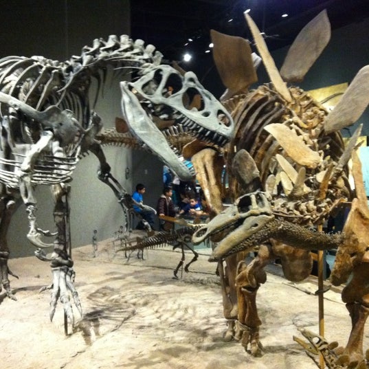 Photo taken at Denver Museum of Nature and Science by Jason S. on 2/20/2012