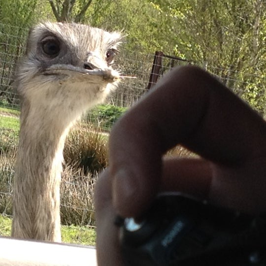 Photo taken at Knowsley Safari by Clau S. on 4/15/2012