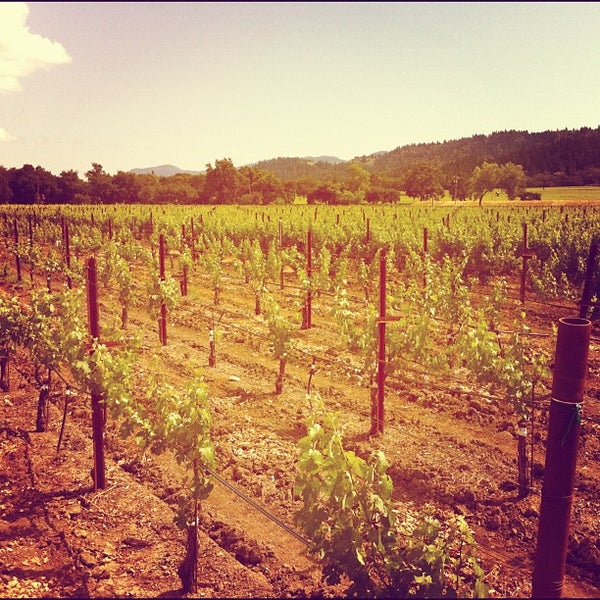 5/27/2012 tarihinde Kris L.ziyaretçi tarafından Benessere Vineyards'de çekilen fotoğraf