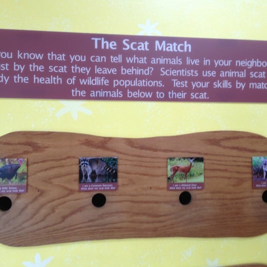 Scatmatch