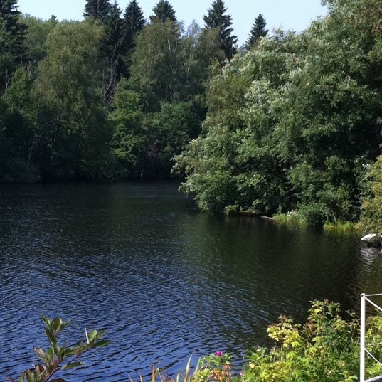 река грузинка васкелово. река грузинка 7. река грузинка 7. река грузинка 7. река грузинка.