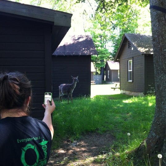 Moose Country Cabins Vacation Rental In Old Forge