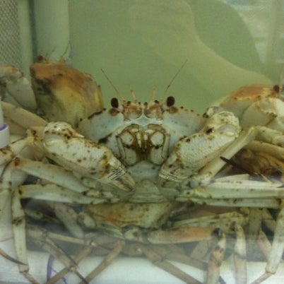 รูปภาพถ่ายที่ Aqua Best Seafood, Inc โดย Freeman เมื่อ 8/1/2012