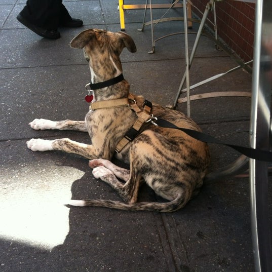 Photo taken at Barking Dog Luncheonette by kolby v. on 3/20/2012