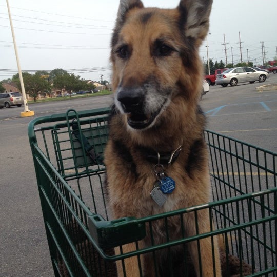 pet supplies plus harper's point