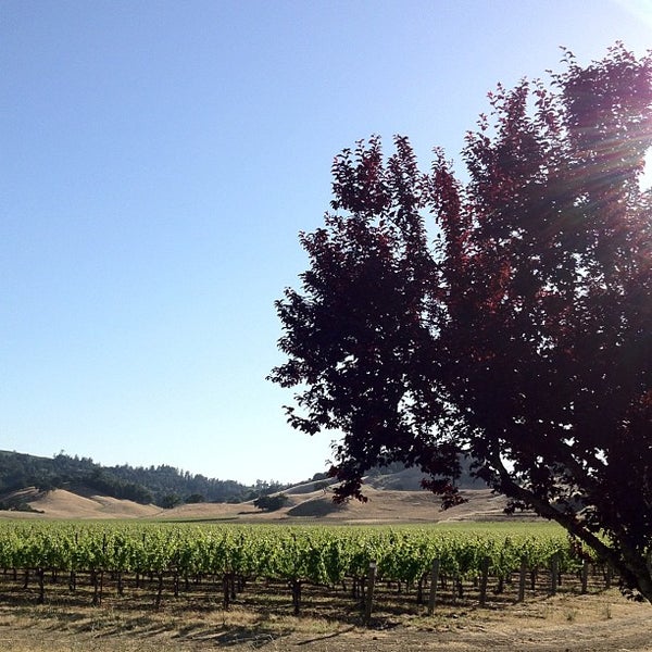 6/12/2012 tarihinde Andrew T.ziyaretçi tarafından Alexander Valley Vineyards'de çekilen fotoğraf