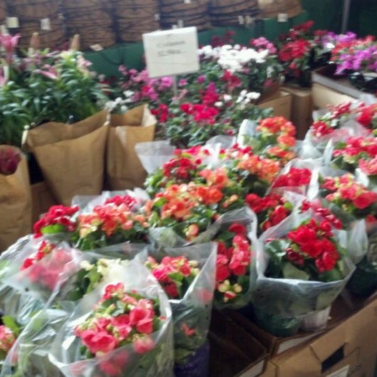 Produce Junction Locations