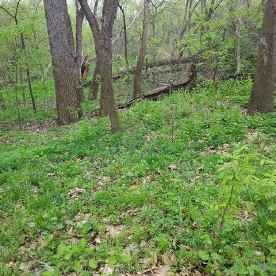 Trail Park
