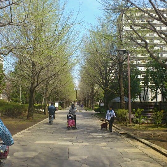 夏の雲公園 光が丘 2 Tips