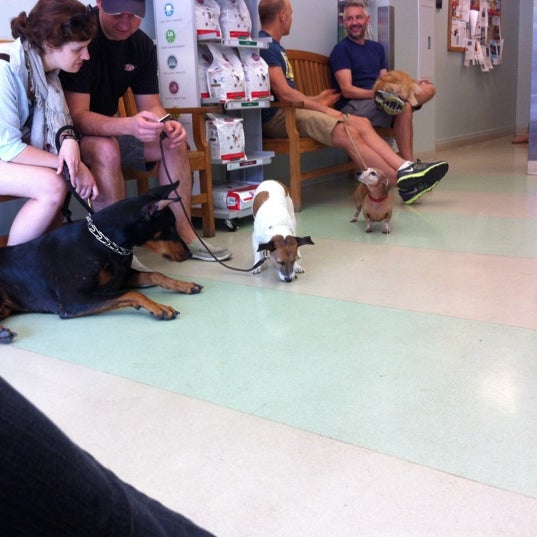6/17/2012 tarihinde Mike S.ziyaretçi tarafından West Village Veterinary Hospital'de çekilen fotoğraf
