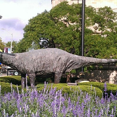 Photo taken at Dippy the Dinosaur (Diplodocus carnegii) by Brendan S. on 9/2/2012