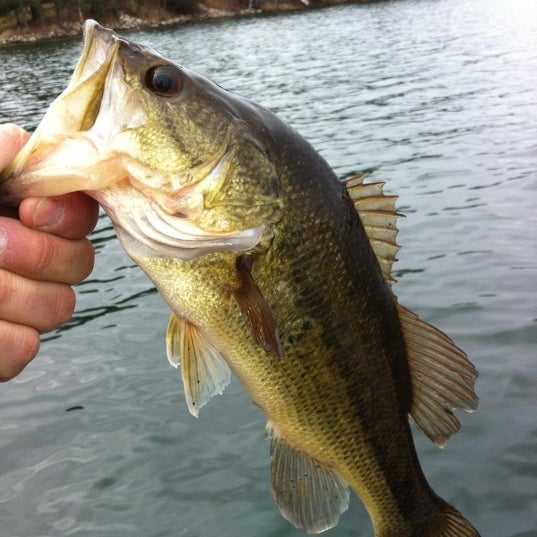 Goodrich Lake Crosslake, MN