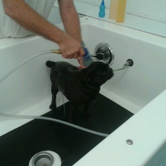 Sloppy dog wash peoria 2025