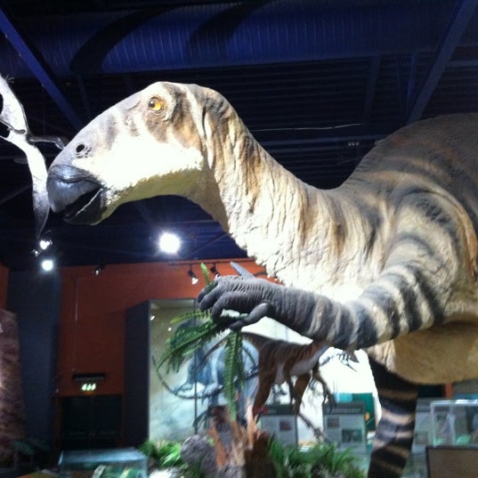 Dinosaur Isle - History Museum