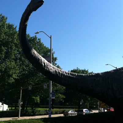 Photo taken at Dippy the Dinosaur (Diplodocus carnegii) by John S. on 8/8/2012