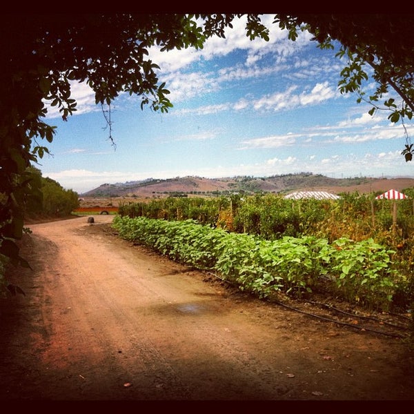 Underwood Family Farms - Farm in Moorpark