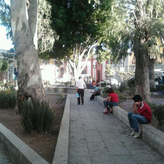 Jardín San Francisco - 14 tips