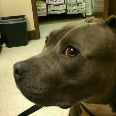 Photo taken at Overland Veterinary Clinic by Derek R. on 6/22/2012