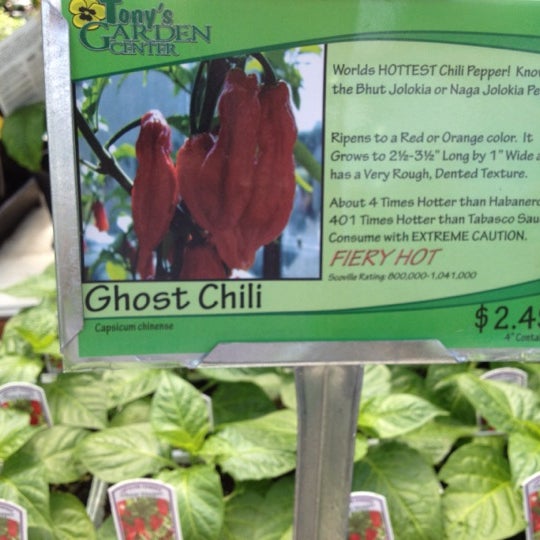 Photos At Tony S Garden Garden Center In Lents