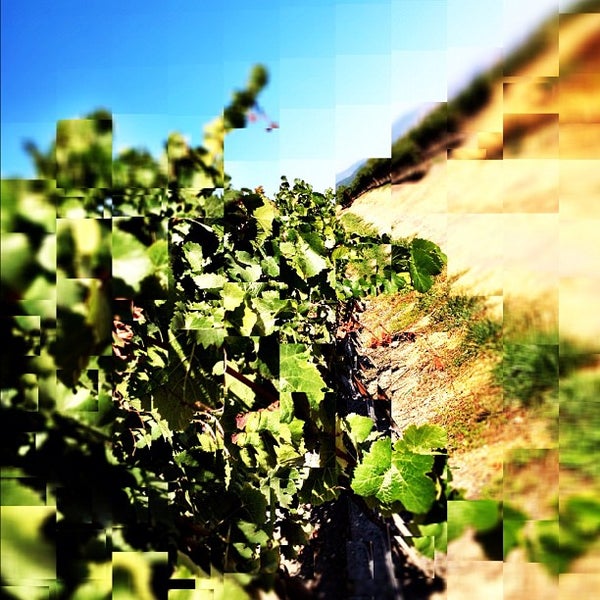 Photo taken at Meadowcroft Wines by Joshua S. on 9/6/2012