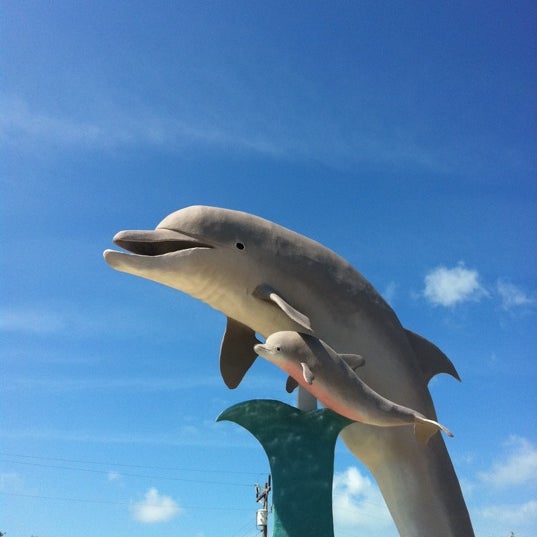 Photo taken at Dolphin Research Center by Jay K. on 2/19/2012