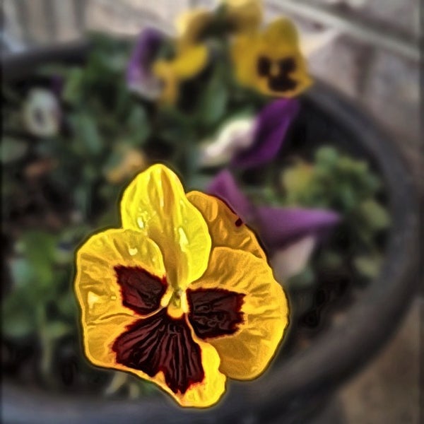 Grandville Arms Condo Complex Hamilton, NJ